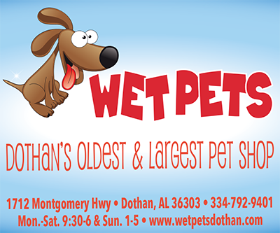 Wet Pets 400x333px